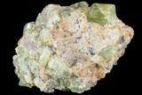 Gemmy, Yellow Apatite Crystal Cluster - Morocco #84326-1